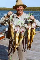 Walleye fished in pipestone lake