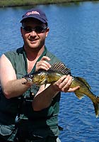 Walleye fished in pipestone lake