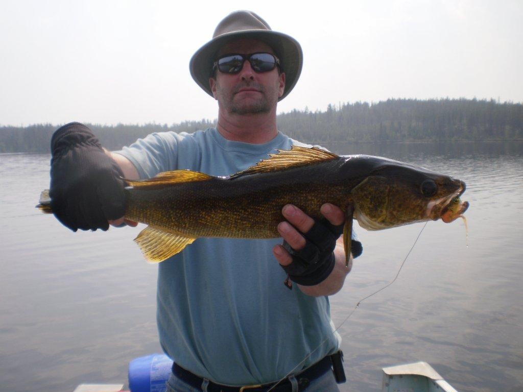 walleye