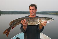 Pike