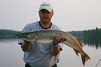 Pike