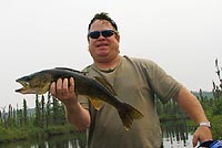 walleye