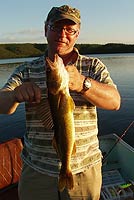 walleye