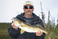 walleye