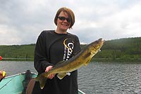 walleye