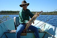 Pike caught in pipestone lake with fly