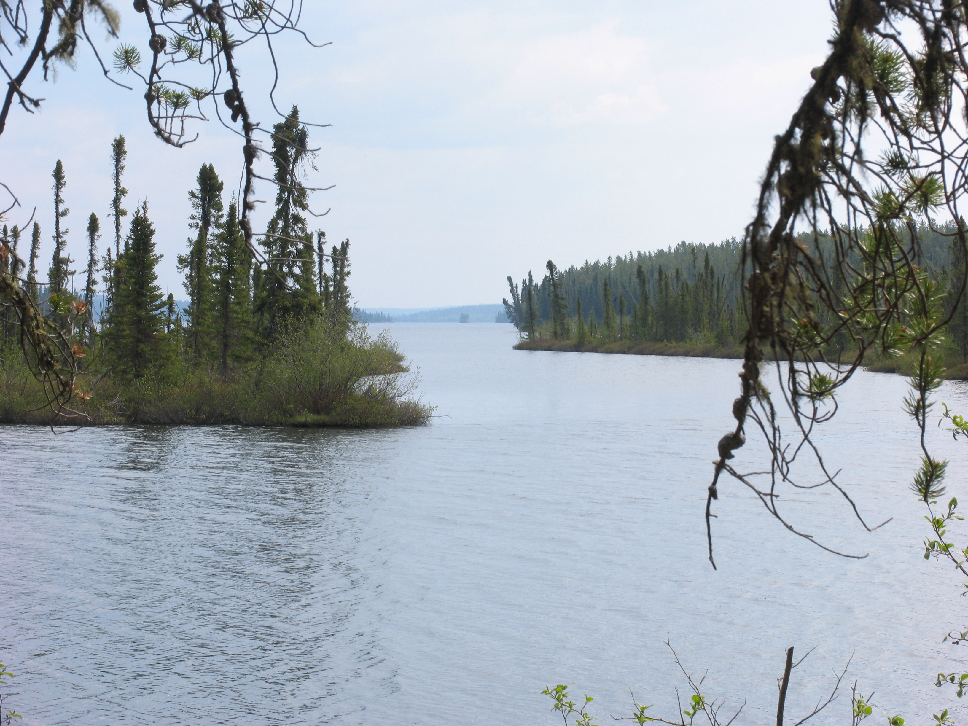 Scenic photos from Pipestone Lake Fishing Lodge